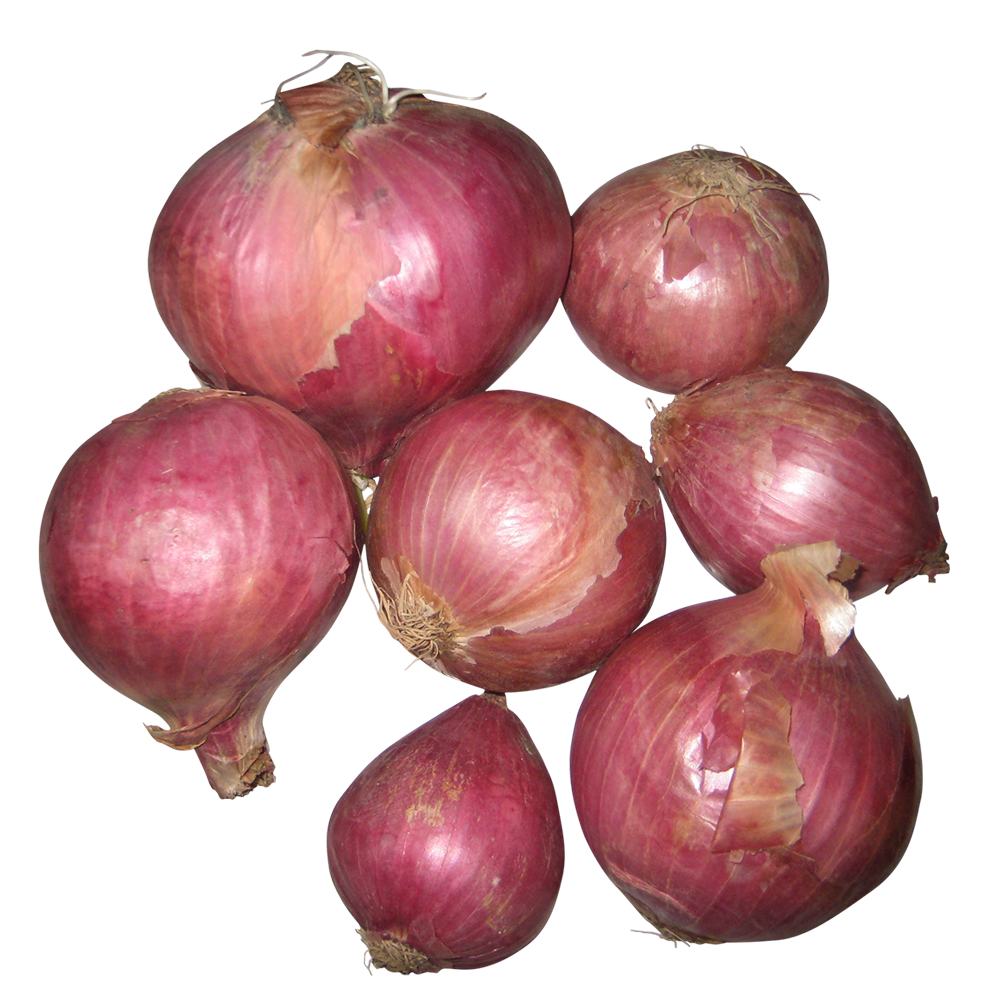 onions images, onions png, onions png image, onions transparent png image, onions png full hd images download